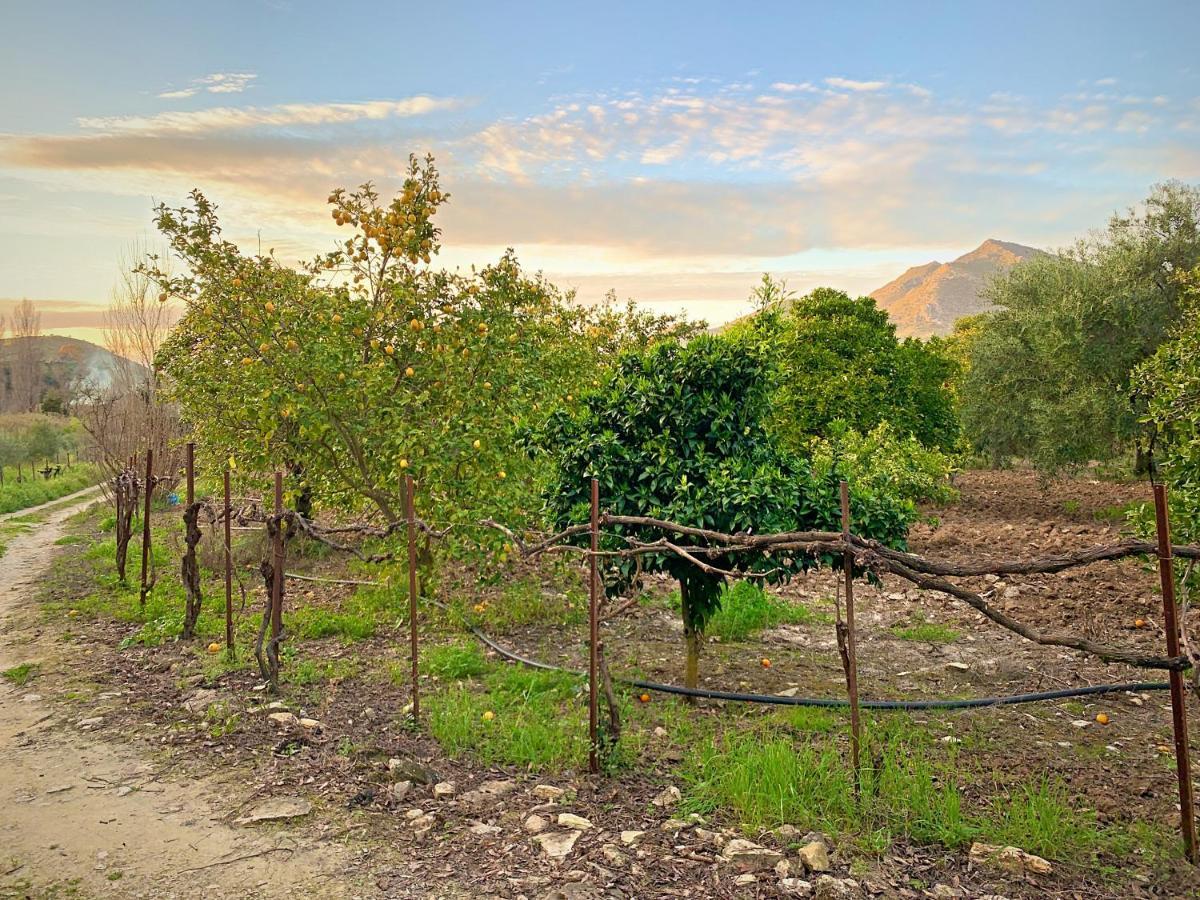 Acogedora Casa Rural En Zahara De La Sierra Villa Exterior photo