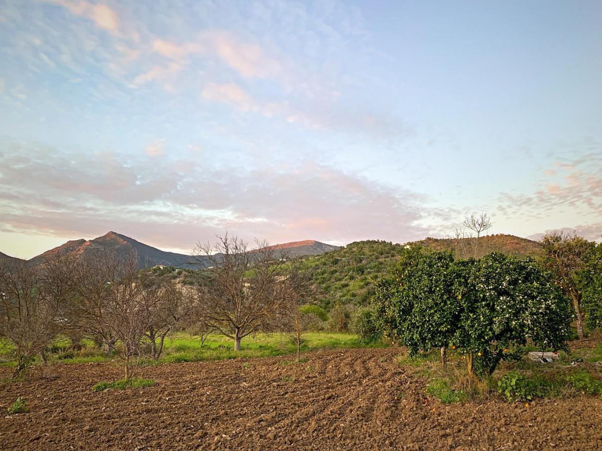 Acogedora Casa Rural En Zahara De La Sierra Villa Exterior photo