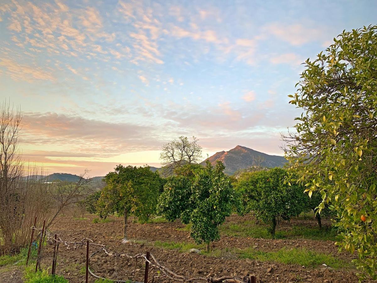 Acogedora Casa Rural En Zahara De La Sierra Villa Exterior photo